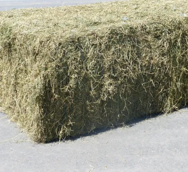 Big Bales